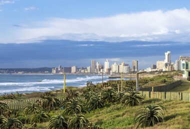 Kumul bitki örtüsü kıyı manzara mavi bulutlu Skyline karşı