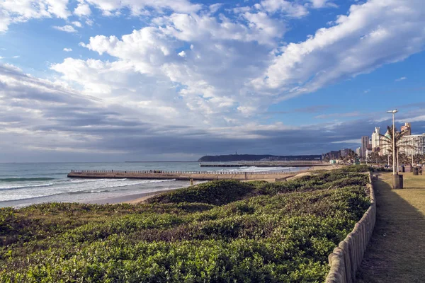 Paisagem costeira Duna Vegetação Praia Mar Contra a Cidade Skylin — Fotografia de Stock