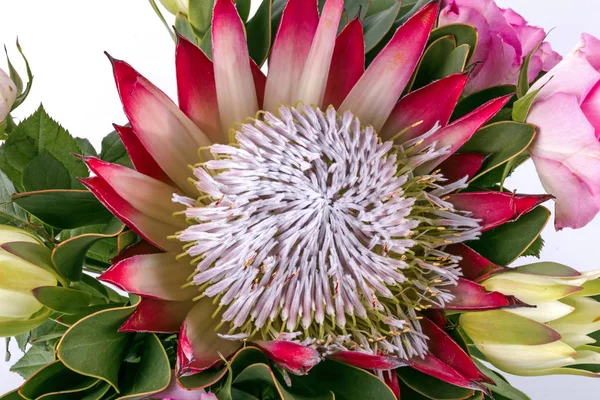 Protea ve pembe Gül çiçek aranjman