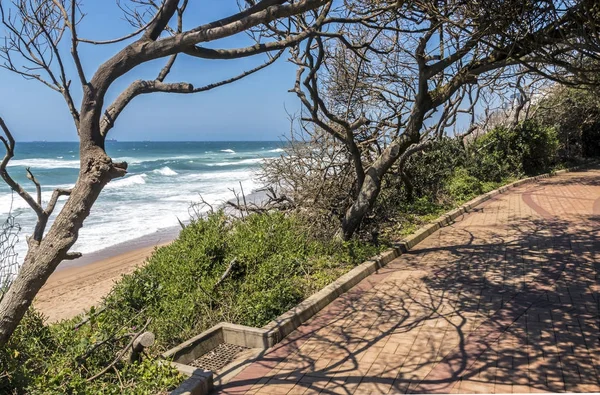 Vegetation fodrad och omfattas kustnära stenlagda stranden gångväg — Stockfoto