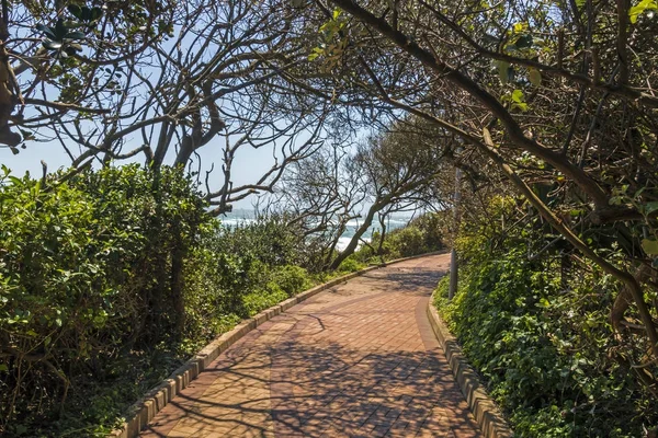 Caminhada de praia pavimentada costeira forrada e coberta de vegetação — Fotografia de Stock