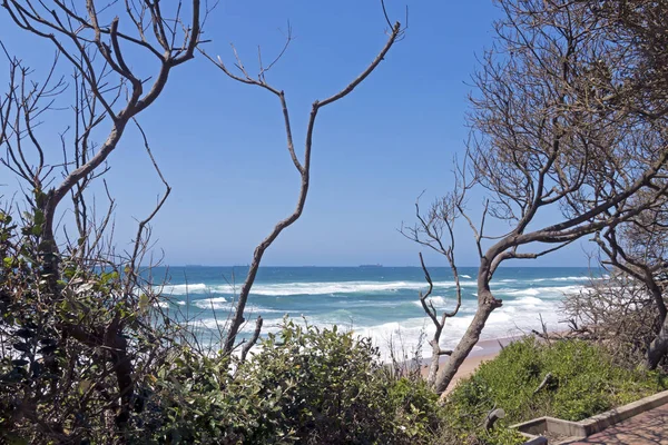 Küstenlandschaft mit Dünenvegetation Strand Meer und Himmel — Stockfoto