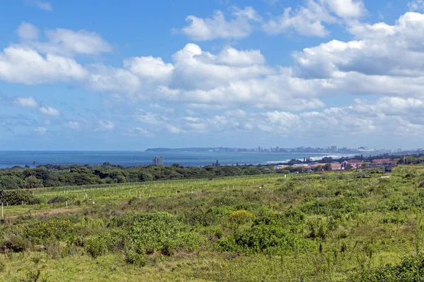 Kustnära Vegetation mot havet och avlägsna Durban stadssilhuetten — Stockfoto