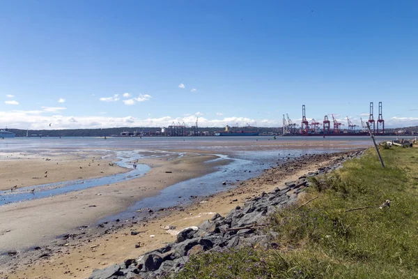 Low Tide and Blue Sky in Durban Harbor — Stock Photo, Image