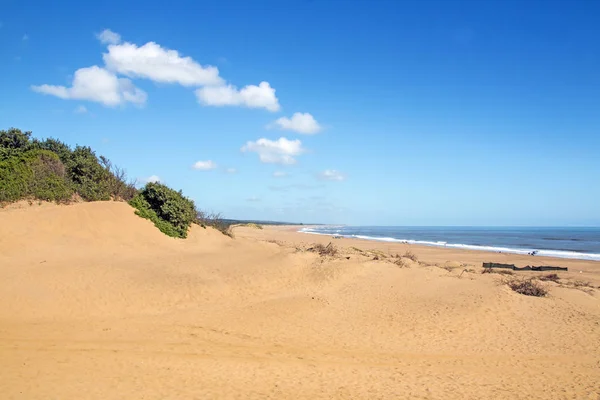 Mtunzini Beach Paisagem costeira na África do Sul — Fotografia de Stock