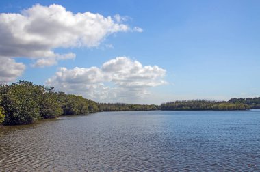 Lagün Umlalazi tabiatı itibariyle Mtunzini Güney Afrika