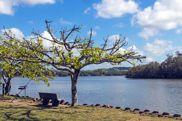 Lagune à Umlalazi Nature Reserve à Mtunzini Afrique du Sud — Photo