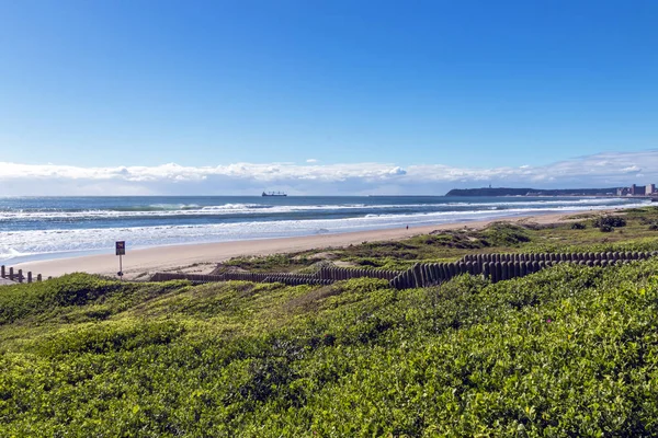 Kumul bitki örtüsü kıyı manzara Durban Güney Afrika — Stok fotoğraf