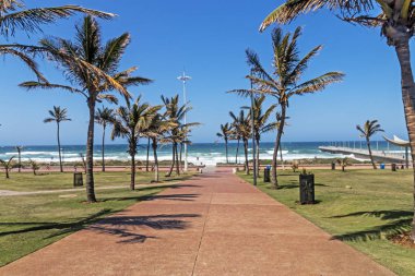 Palmiye ağacı doğru mavi kıyı manzarası geçit başlık kaplı