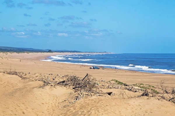 Dunes ve Driftwood ve mavi gökyüzü kıyı peyzaj 