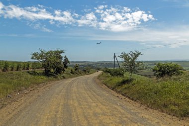 Boş toprak yol ağaçlar ve şeker kamışı tarlaları