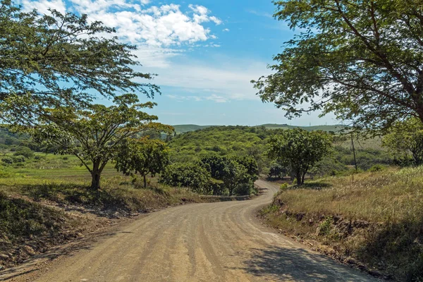 Camino de tierra vacío a través de árboles y plantaciones de caña de azúcar — Foto de Stock