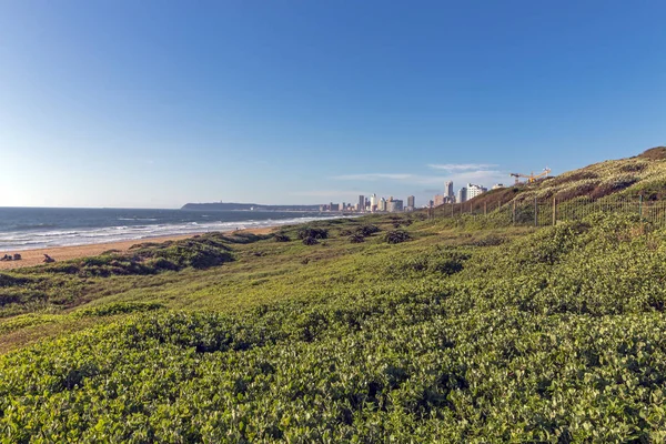 Kumul bitki örtüsü plaj ve kıyı şehir manzarası karşı — Stok fotoğraf