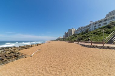 Plaj Driftwoon deniz kıyı mavi gökyüzü manzara karşı