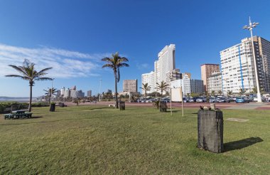 Yeşil çim ve palmiye ağaçları karşı Durban şehir manzarası