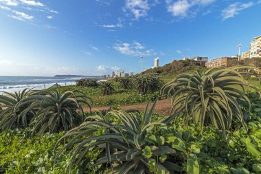 Kıyı kenti peyzaj Durban Güney Afrika