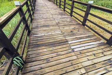 Boş tahta desen ve dokular kapatmak 