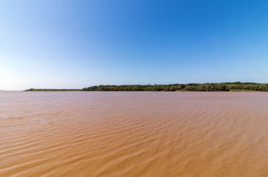  St Lucia Estuary sakinleştirmek kahverengi çamurlu su manzaraya 
