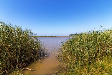  Bitki örtüsü ve mavi gökyüzü manzara St Lucia Estuary, su
