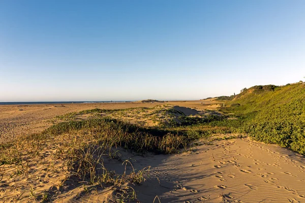 Arena dorada y vegetación de dunas Paisaje del horizonte costero — Foto de Stock