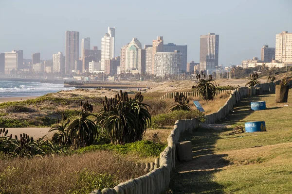 Durban 'da Çim Alanı ve Kum Rehabilitasyonu — Stok fotoğraf