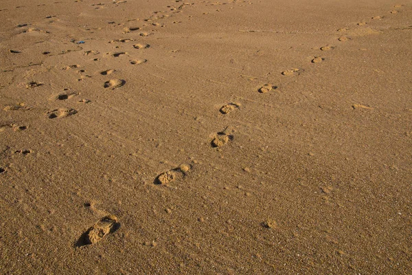 Pegadas cruzando sobre areia de praia limpa — Fotografia de Stock