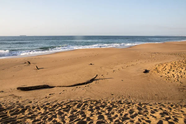 Madera a la deriva en la playa —  Fotos de Stock