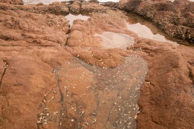 Deniz kıyısındaki sığ kayalıklarda