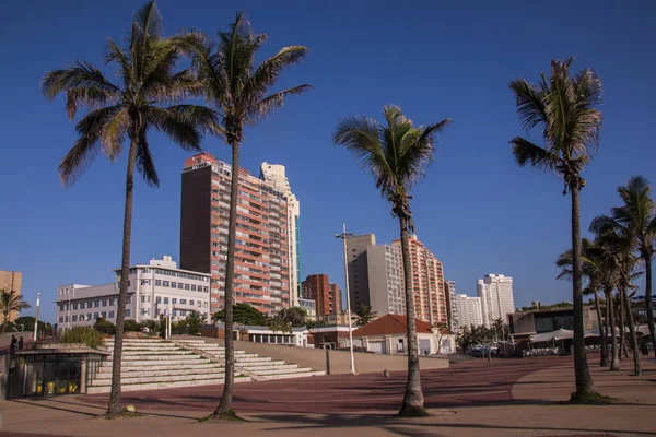 Palmeiras e Hotéis Contra Blue Skyline — Fotografia de Stock