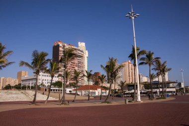 Durban, Güney Afrika 'da palmiye ağaçları ve oteller mavi gökyüzüne karşı