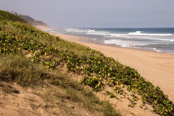 Zandduinen Bedekt Met Vegetatie Met Uitzicht Zee Het Strand — Stockfoto