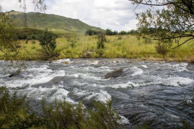 Doğal bitki ve çimlerle çevrili hızlı akan bir nehir.