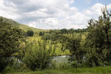 Doğal bitki ve otlarla çevrili hızlı akan bir nehir.