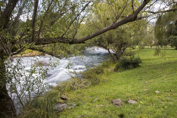 Sel Sonrası Doğal Bitki Örtüsü Çimlerle Çevrili Hızlı Akan Nehir — Stok fotoğraf