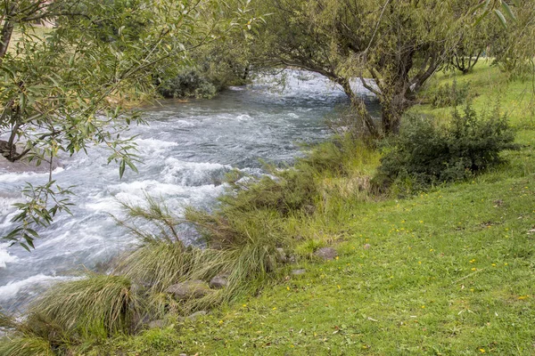 Doğal Bitki Çimlerle Çevrili Hızlı Akan Bir Nehir — Stok fotoğraf