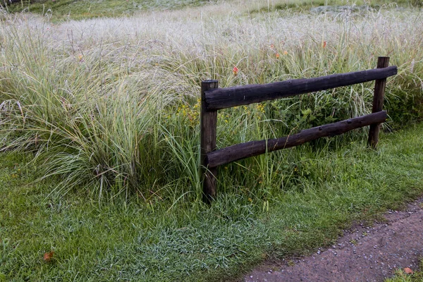 道路边缘有草坪的木制篱笆柱子 — 图库照片