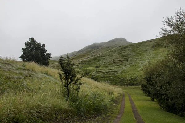 Bilbana Som Leder Genom Foten Drakensberg — Stockfoto