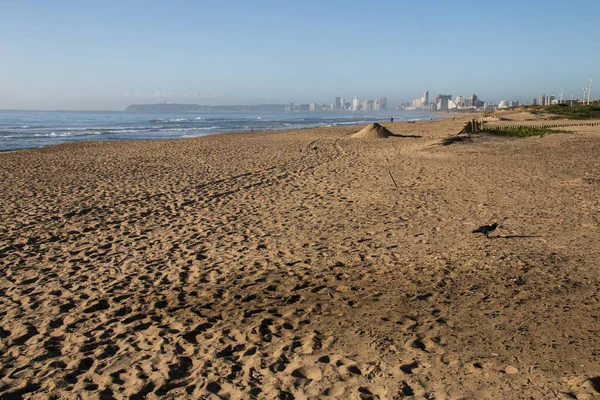 Costa Durban Con Hoteles Edificios Altos Fondo — Foto de Stock