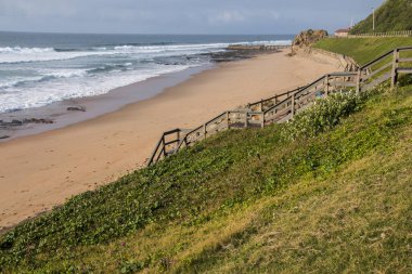 Doğal bitki örtüsünün üstündeki tahta merdiven sahile çıkıyor.