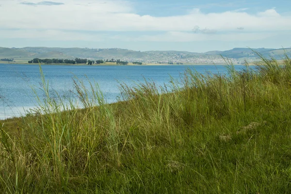 Lunga Erba Verde Che Cresce Sulle Rive Della Diga Midmar — Foto Stock