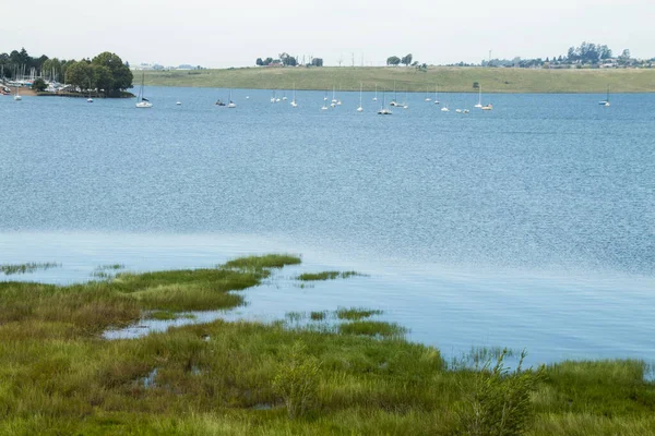 Yachts Moorings Extensive Midmar Dam — Stock Photo, Image