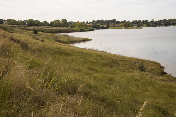 Blue Water Surrounded Grass Trees Midmar Dam — Stock Photo, Image