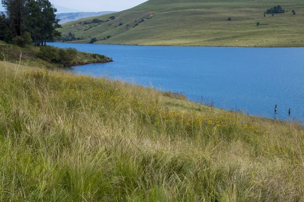 Acqua Blu Circondata Erba Alberi Alla Diga Midmar — Foto Stock