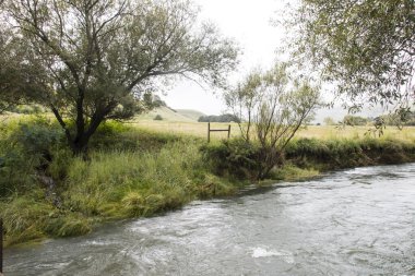 Şiddetli yağmurlardan sonra akan nehir ve kıyıda ağaçlar