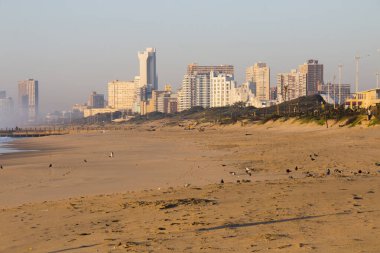 Sahilde beslenen güvercinler Durban, Güney Afrika