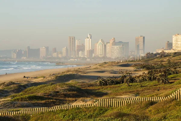 Rehabilitación Dunas Con Edificios Ciudad Segundo Plano Durban Sudáfrica — Foto de Stock