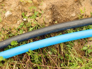 Mavi ve siyah kablo. Metalik ve fiber optik kablolar, Internet bağlantısı satırlık bina. 