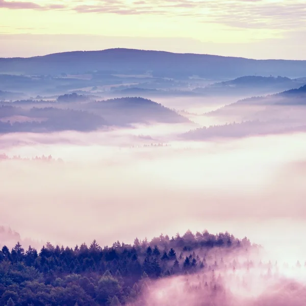 Mlhavě melancholii svítání v údolí krásná víla. Vrcholy, skalní čalounění krémové mlžné mraky — Stock fotografie