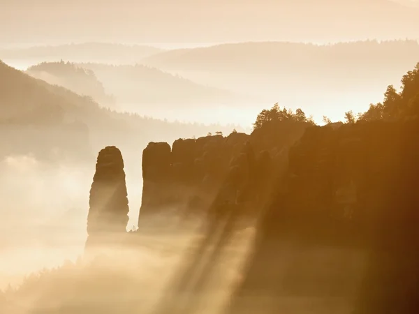 Misty awaking of  beautiful fairy valley. Peaks of rocks trim creamy fog — Stock Photo, Image