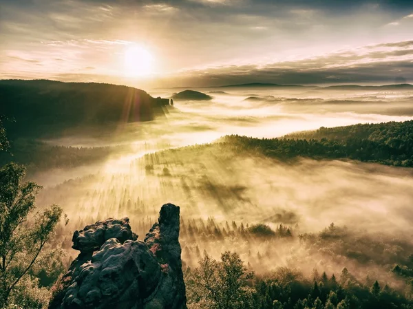 Misty réveil de belle vallée de fées. Pics de rochers garnissent brouillard crémeux — Photo